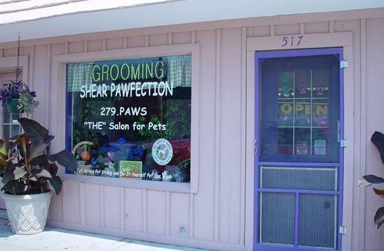 Shear Pawfection storefront - "The" salon for pets