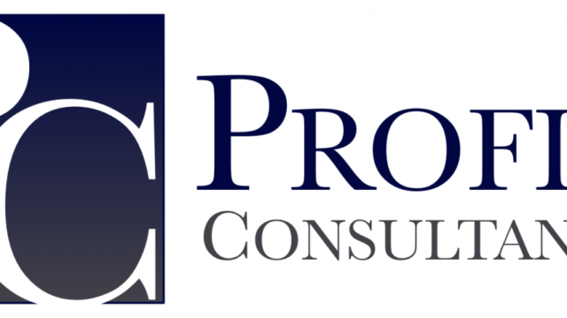 Profit Consultants - logo