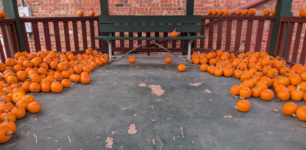 pumpkins on the gazebo in valley junction for pumpkin walk