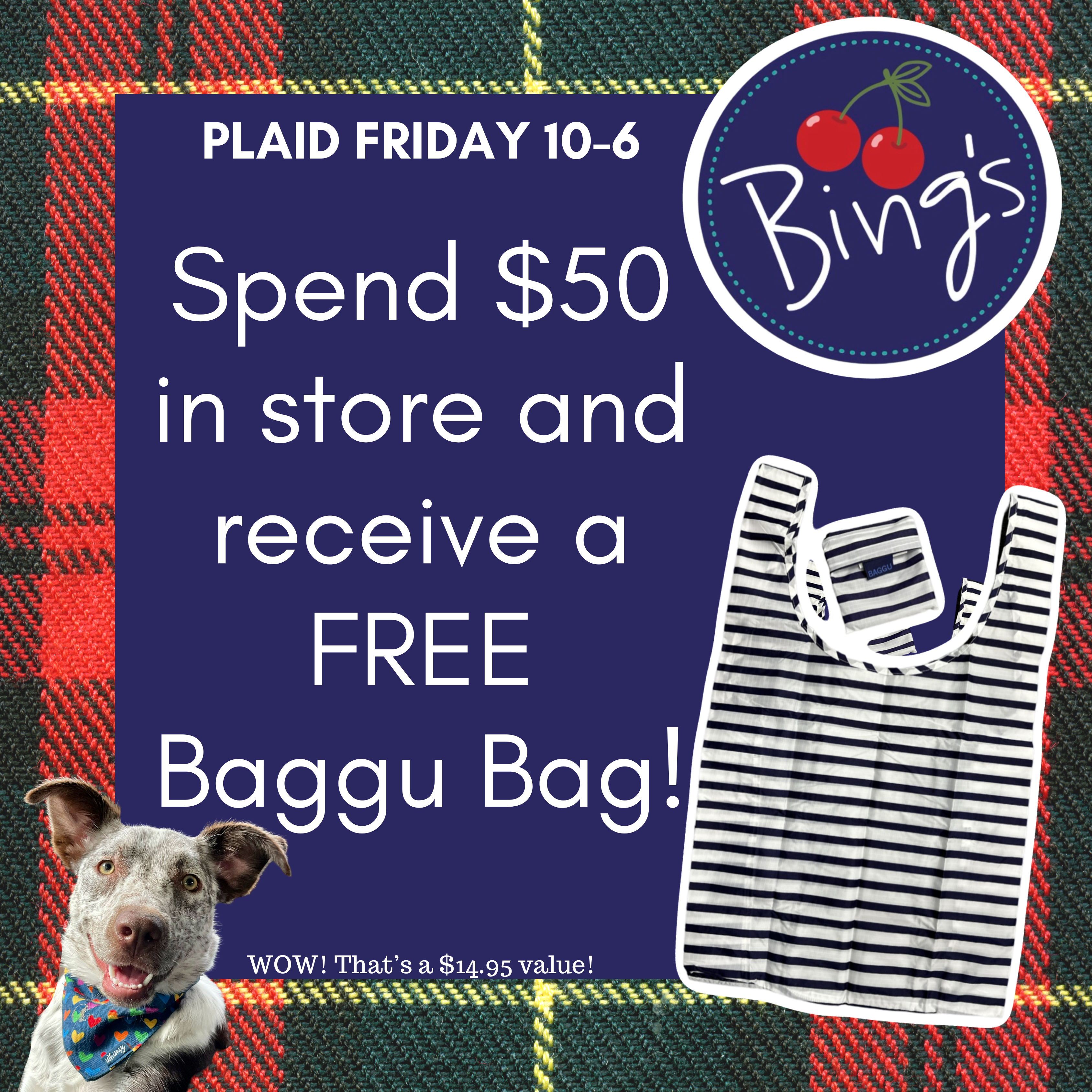 Bing's plaid friday ad with penny and a free bag