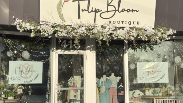Tulip Bloom