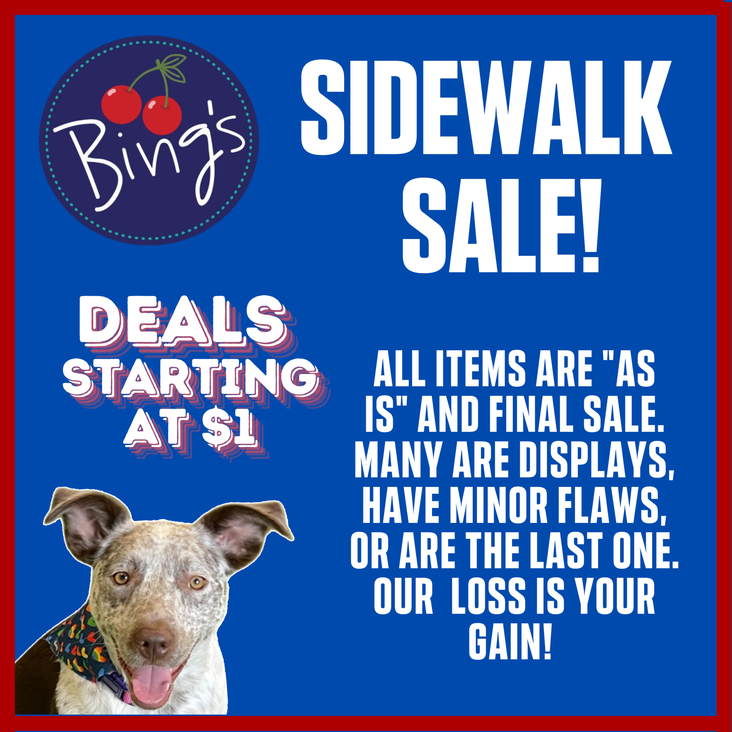 bings sidewalk sale square ad with penny on a blue background
