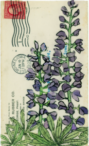 Olson Larsen galleries painting on envelope